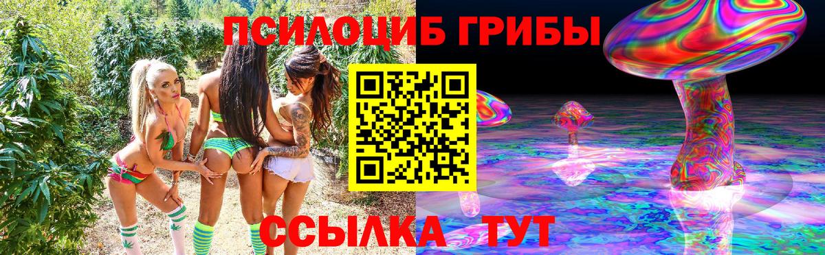 где можно купить   Вход с VPN  Новоалтайск  Псилоцибиновые грибы Psilocybine cubensis 