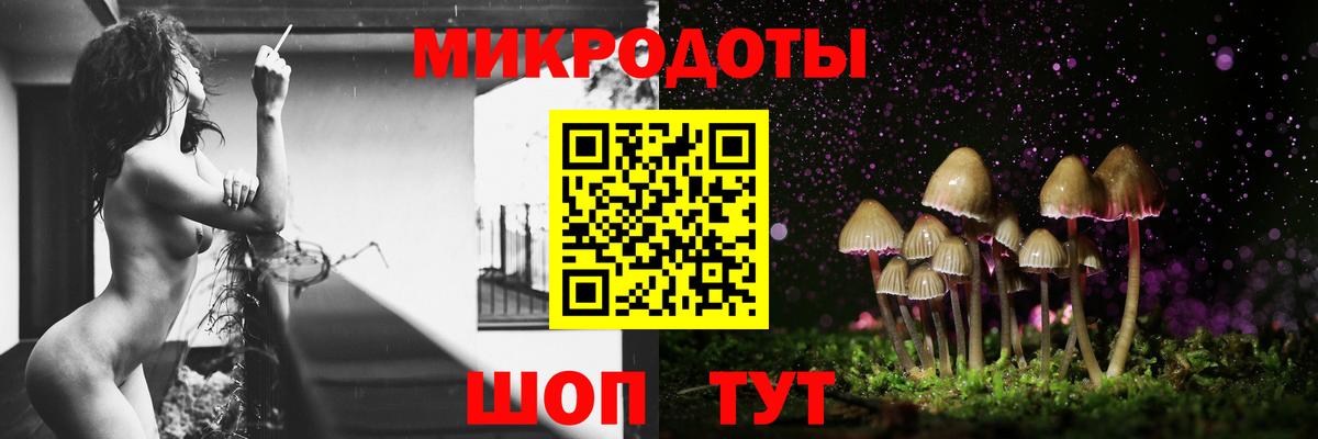 Псилоцибиновые грибы мухоморы Новоалтайск